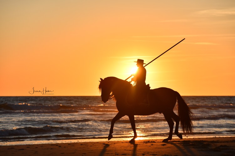 Irena Huber Photography